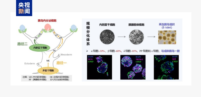  国产邮轮再突破，能源矿产添新力；医疗农业齐创新，中国科技加速向前。 IT技术 国产邮轮再突破，能源矿产添新力；医疗农业齐创新，中国科技加速向前。 IT技术 国产邮轮再突破，能源矿产添新力；医疗农业齐创新，中国科技加速向前。 IT技术 国产邮轮再突破，能源矿产添新力；医疗农业齐创新，中国科技加速向前。 IT技术