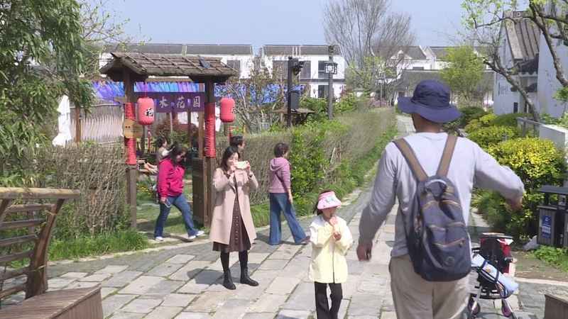  【深度解析】奉贤吴房村700亩桃林盛花期：一份基于实地的桃文化节技术观察报告 文化旅游 【深度解析】奉贤吴房村700亩桃林盛花期：一份基于实地的桃文化节技术观察报告 文化旅游