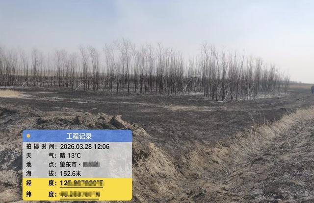 林地火灾责任困局：农场坟地与承包人权益的法律边界与技术破解