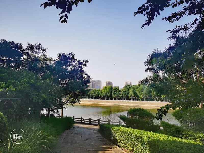  五十岁后的环境心理学：规避三类场所对主观幸福感的影响机制 健康养生 五十岁后的环境心理学：规避三类场所对主观幸福感的影响机制 健康养生