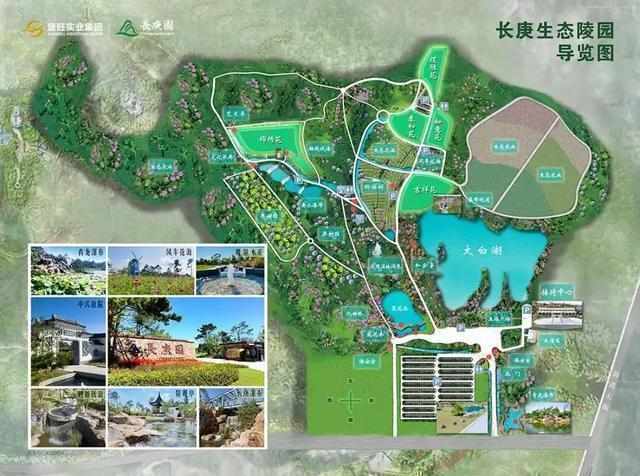  吉林200万祠堂墓事件深度剖析：政策红线、技术违规与整改路径全解读 新闻 吉林200万祠堂墓事件深度剖析：政策红线、技术违规与整改路径全解读 新闻