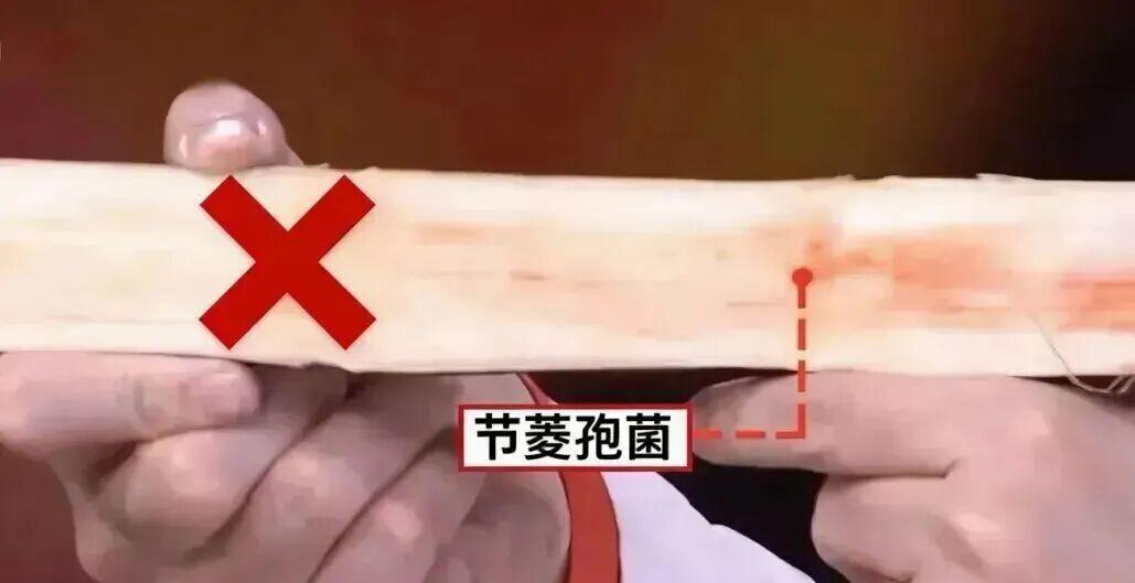  深度解析：清明蔗毒素机制与科学选购指南 健康养生