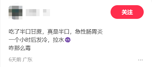  深度解析：清明蔗毒素机制与科学选购指南 健康养生