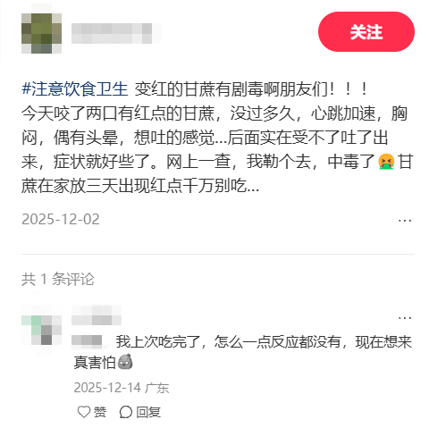 深度解析：清明蔗毒素机制与科学选购指南 健康养生