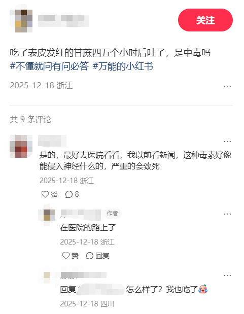  深度解析：清明蔗毒素机制与科学选购指南 健康养生
