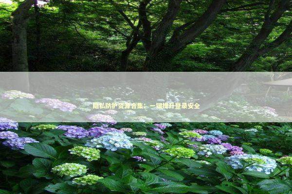 隐私防护资源合集:一键提升登录安全 隐私防护资源合集:一键提升登录安全 新闻