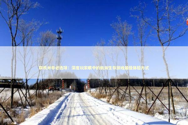 联机并非必选项：深度玩家眼中的航海生存游戏最佳体验方式